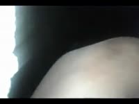 Beastiality lover gets asshole banged by dog